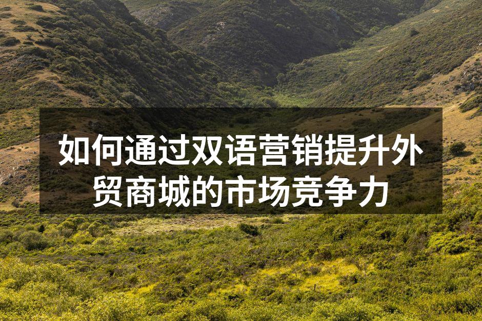 如何通过双语营销提升外贸商城的市场竞争力