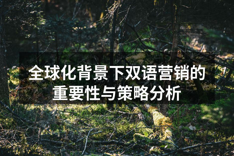 全球化背景下双语营销的重要性与策略分析