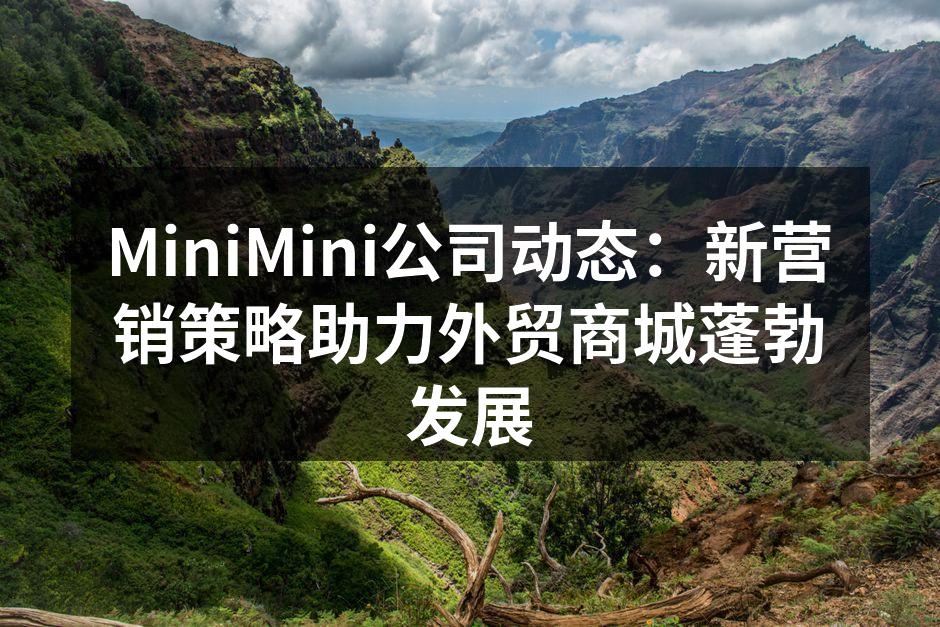 MiniMini公司动态：新营销策略助力外贸商城蓬勃发展