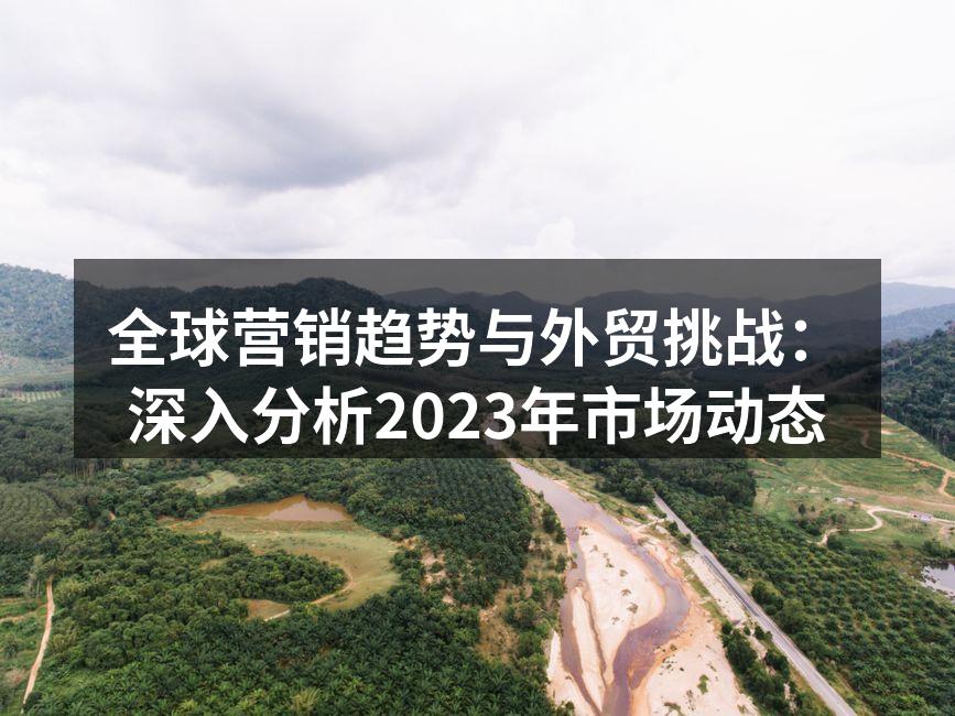 全球营销趋势与外贸挑战：深入分析2023年市场动态
