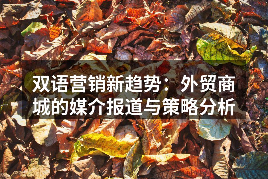 双语营销新趋势：外贸商城的媒介报道与策略分析