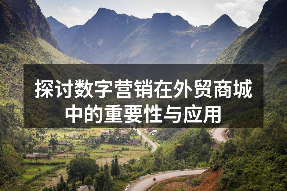 探讨数字营销在外贸商城中的重要性与应用