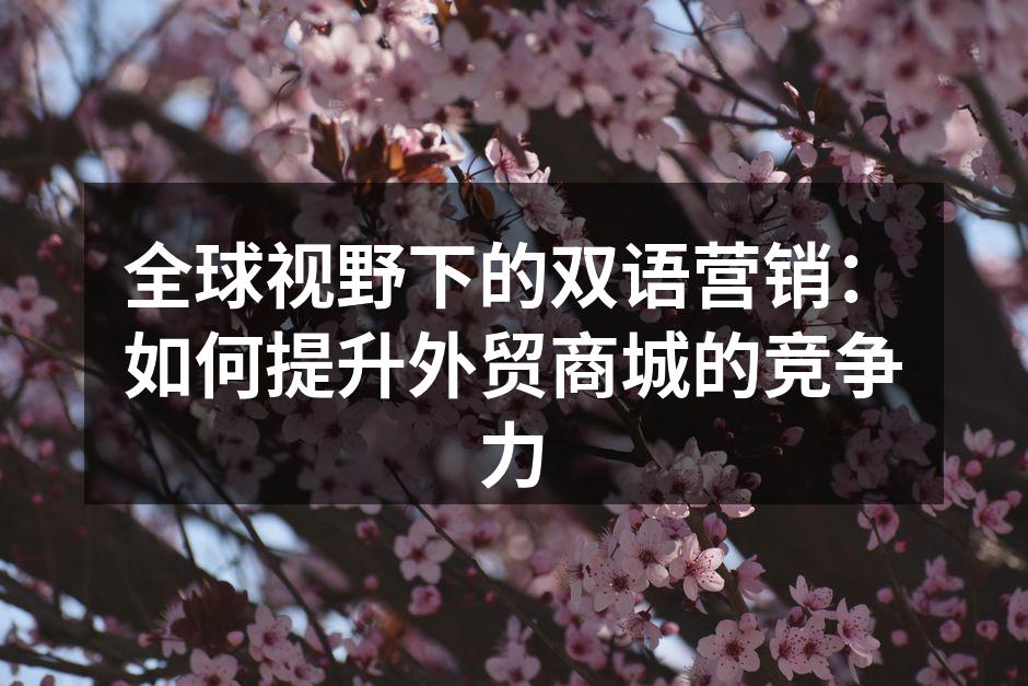 全球视野下的双语营销：如何提升外贸商城的竞争力
