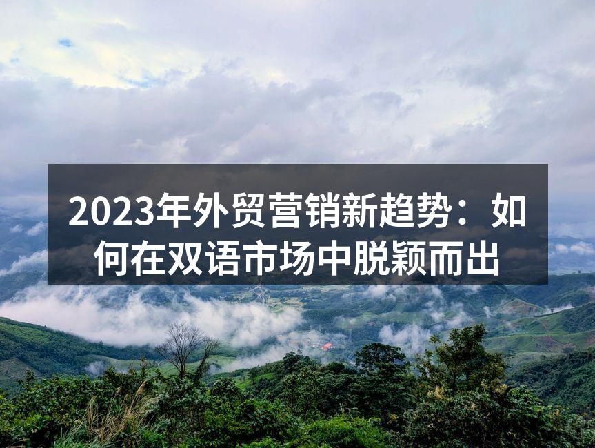 2023年外贸营销新趋势：如何在双语市场中脱颖而出