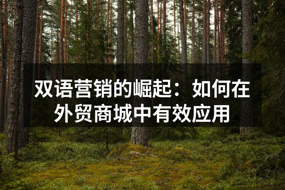 双语营销的崛起：如何在外贸商城中有效应用